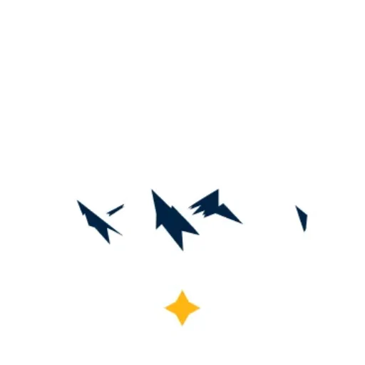 Roving Rock Med logo