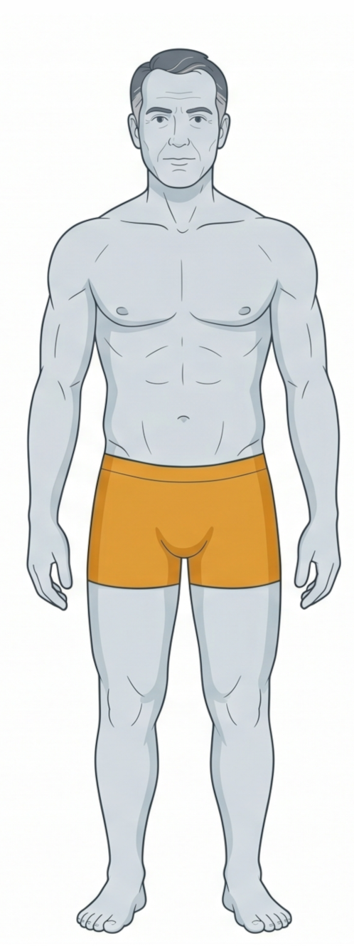 Optimal testosterone body — healthy
